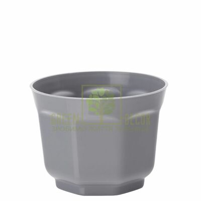 Кактусницы Горшок для кактусов Анкона-8 0,2 л бетон от Form-Plastic |Green Decor
