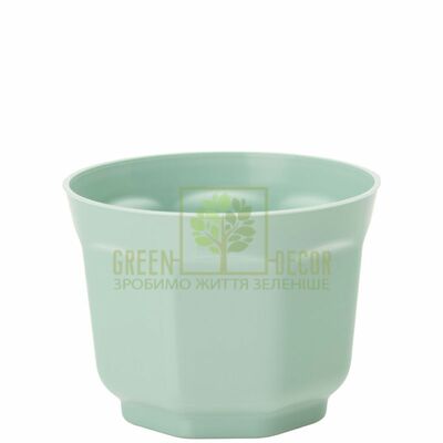 Кактусницы Горшок для кактусов Анкона-8 0,2 л ментол от Form-Plastic |Green Decor