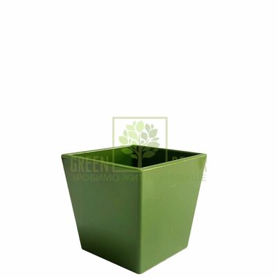Мини кашпо Мини кашпо Квадрат-6,5 0,2 л оливковый от Україна |Green Decor