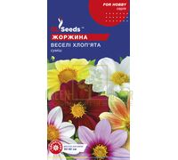 Георгина Веселые ребята, 0,25 г, GL Seeds