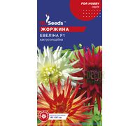 Георгина Эвелина, 0,25 г, GL Seeds