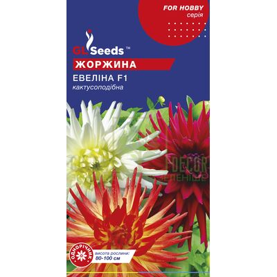 Інші квіти Жоржина Евеліна, 0,25 г, GL Seeds від GL Seeds |Green Decor