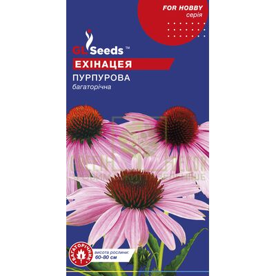 Інші квіти Ехінацея пурпурова 0,3 г, GL Seeds від GL Seeds |Green Decor
