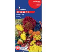Цветочная смесь Сухоцветы Икебана 0,5 г, GL Seeds