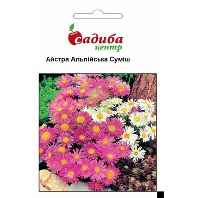 Астры Астра Альпийская смесь, 0,1 г, Садиба от Садиба |Green Decor