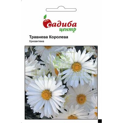 Інші квіти Хризантема Травнева королева, 0,1 г, Садиба від Садиба |Green Decor