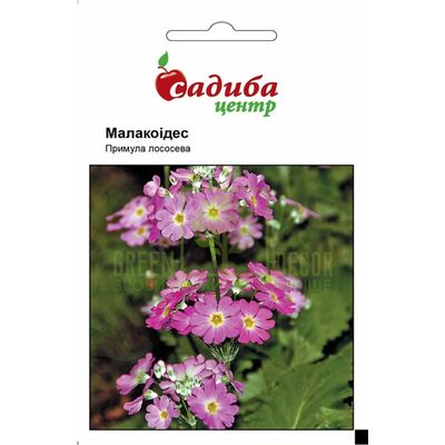 Інші квіти Примула Малакоідес лососева, 0,01 г, Садиба від Садиба |Green Decor
