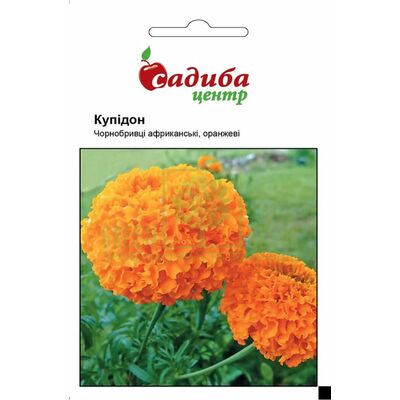 Чорнобривці Чорнобривці Купідон оранжеві, 0,2 г, Садиба від Садиба |Green Decor