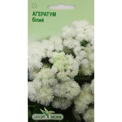 Агератум Агератум Білий 0,1 г, Елітсорт від Елітсорт |Green Decor