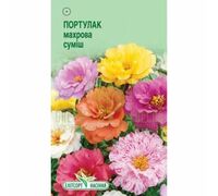 Портулак махровый смесь 0,1г, Элитсорт