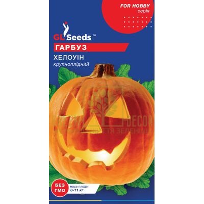 Тыква Тыква Хеллоуин 5 шт, GL Seeds от GL Seeds |Green Decor