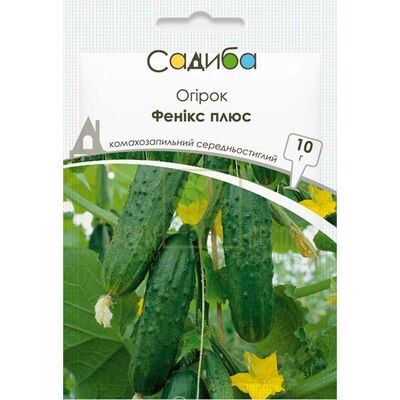 Огірок Огірок Фенікс плюс, 10 г, Садиба від Садиба |Green Decor