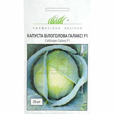 Капуста Капуста белокачанная Галакси F1 ранняя 20шт, Професійне насіння от Професійне насіння |Green Decor