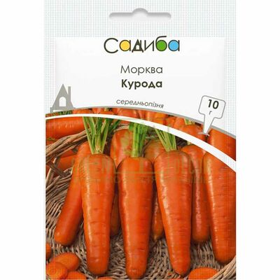 Морковь Морковь Курода, 10 г, Садиба от Садиба |Green Decor
