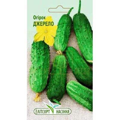 Огурец Огурец Джерело 2г, Элитсорт от Елітсорт |Green Decor