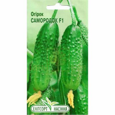 Огірок Огірок Самородок F1 20 шт, Елітсорт від Елітсорт |Green Decor