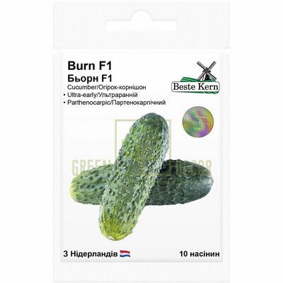 Огурец Огурец Бьорн F1 10 шт партенокарпик, Beste Kern от Україна |Green Decor