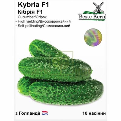 Огурец Огурец Кибрия F1 10 шт партенокарпик, Beste Kern от Україна |Green Decor