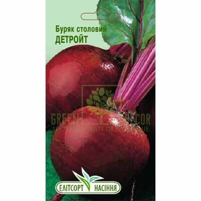 Буряк Буряк Детройт 3 м, Елітсорт від Елітсорт |Green Decor