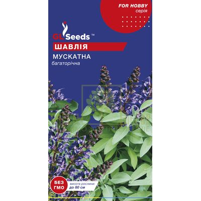 Інші прянощі і трави Шавлія Мускатна 0,2 г,GL Seeds від GL Seeds |Green Decor