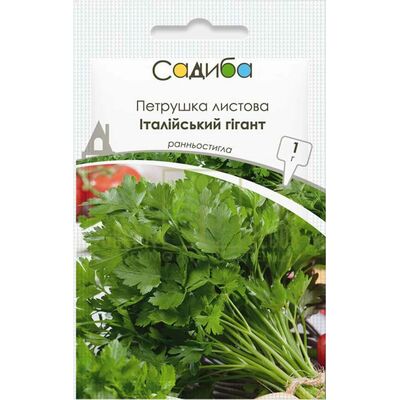 Петрушка Петрушка листова Італійський гігант, 1 г, Садиба від Садиба |Green Decor