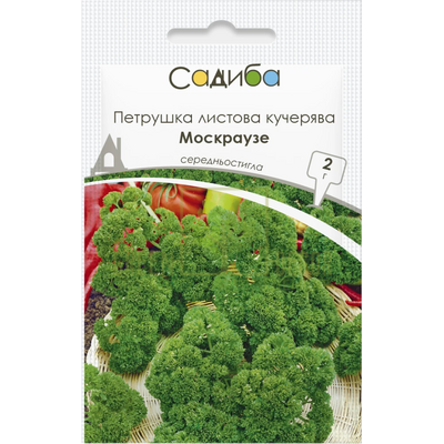 Петрушка Петрушка кучерява Москраузе, 2 г, Садиба від Садиба |Green Decor