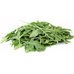 Рукола Рукола делікатесна 1г, GL Seeds від GL Seeds | Фото 1 