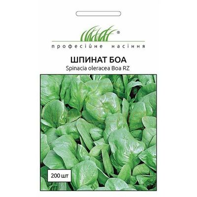 Шпинат Шпинат Боа 200 шт, Професійне насіння от Професійне насіння |Green Decor