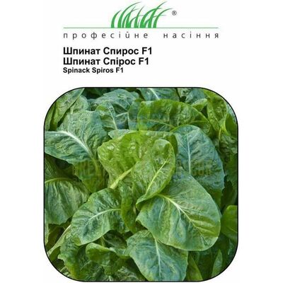 Шпинат Шпинат Спірос F1 1 г, Професійне насіння від Елітсорт |Green Decor