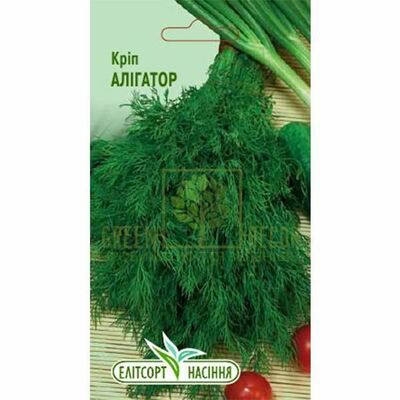 Укроп Укроп Аллигатор 3г, Элитсорт от Елітсорт |Green Decor