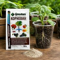 Корневин Quantum - стимулятор коренеутворення NPK 19-19-19 + ауксин