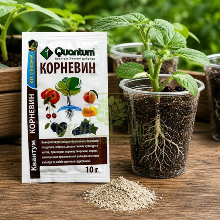 Корневин Quantum - стимулятор корнеобразования для черенков и пересадки рассады